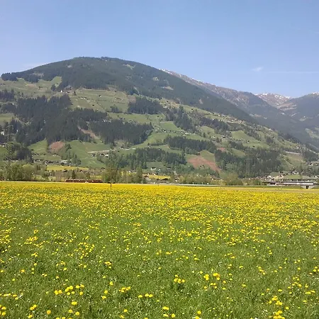 Larchergut Апартаменты *