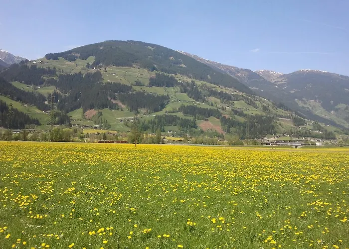 Larchergut Appartement *