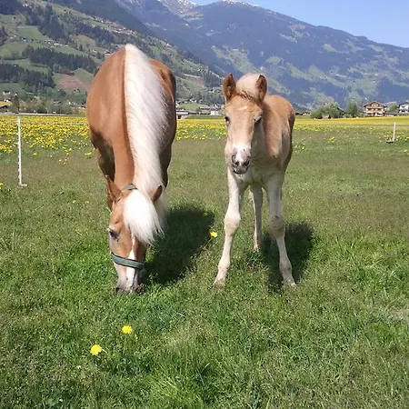 Apartament Larchergut Mayrhofen